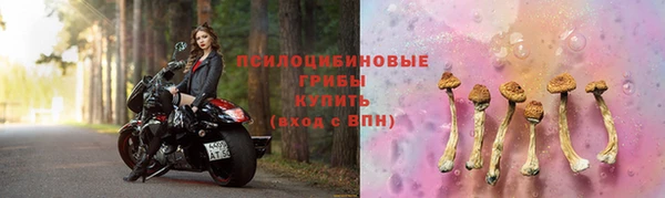 сатива Алексеевка
