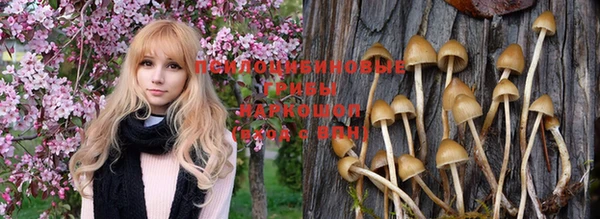 сатива Алексеевка
